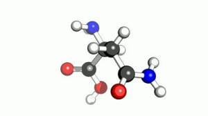 amino acid